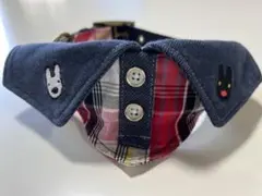 Item thumbnail for item f9013850-d18c-4ab0-87a9-e18116220550