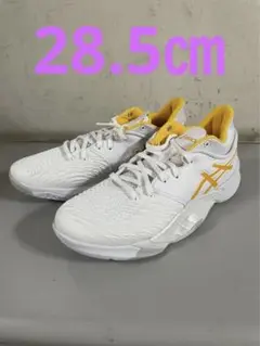 UNPRE ARS LOW 100カラー 28.5㎝