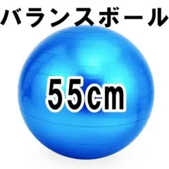 バランスボール ジム ヨガ フィットネス ブルー 55cm