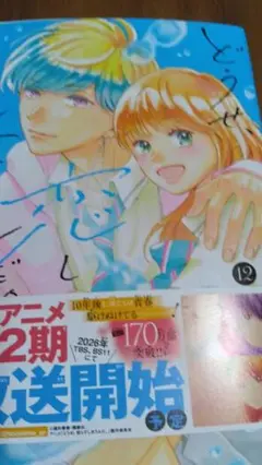 どうせ恋してしまうんだ第12巻