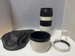 Item thumbnail for item 3cdae567-ce6c-4267-a696-bba623551a06