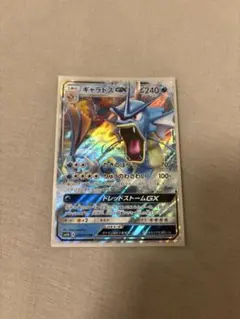 ギャラドスGX RR SM4A 超次元の暴獣 008/050