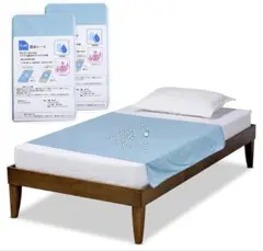 Item thumbnail for item 8039c2c3-6504-488a-823a-c1db54005f32