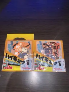 セブンイレブン限定 ハイキュー!! マグネットブックマーカー　日向　烏野高校2種