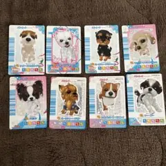 ワンタメ ワンタメカード パピー キラキラ まとめ売り