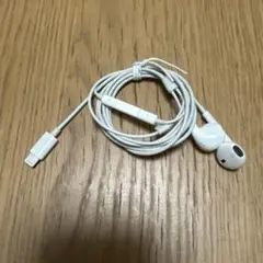 Lightning Earphones for iPhone