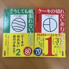 ケーキの切れない非行少年たち どうしても頑張れない人たち