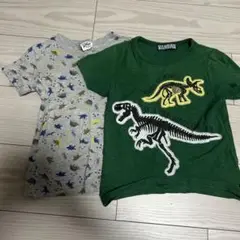 恐竜プリントTシャツ2枚セット（記名あり）