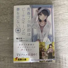 青春ブタ野郎はビーチクイーンの夢を見ない+