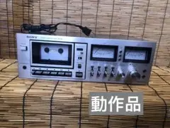 Item thumbnail for item 67700b4b-743c-4c55-b247-69ebb74fa4b2