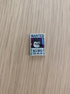LEGO ワンピース　アルビダ　手配書