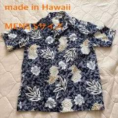 Item thumbnail for item f6a2d339-e689-469c-8365-0b5f5993cb46
