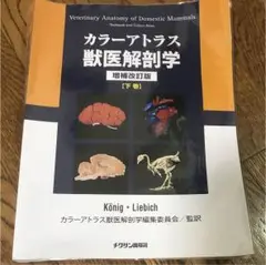 カラーアトラス 下巻 81D7vJo00hL._UF350,350_QL50_.jpg