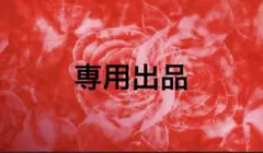 専用出品
