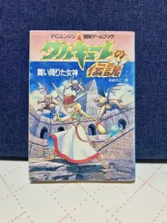 中古 ワルキューレの伝説・冒険 グッズ まとめ売り セット ナムコ アーケード 中古 ワルキューレの伝説・冒険 グッズ まとめ売り セット