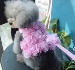 ★新品★犬 猫 ハーネス ピンク M.L お花ふりふりキュート