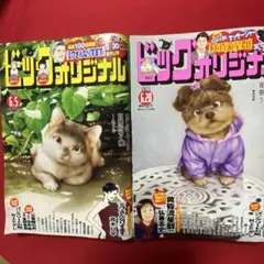 ビックコミックオリジナル2025年6月5日号 2025年6月20日号 2冊