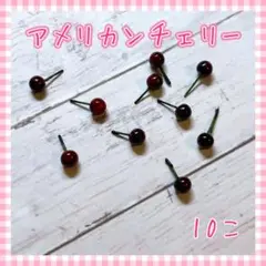 【220】アメリカンチェリー 10個 ダークチェリー
