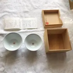 Item thumbnail for item dd46c540-2cb6-4469-93f7-db7403078dff