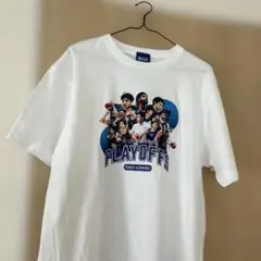 福井ブローウィンズ　Tシャツ　Lサイズ