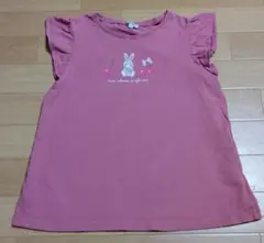 anyfam Tシャツ 150 エニイファム