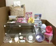 Item thumbnail for item 9a2fe919-83e0-4821-bd66-8a111d6547c2