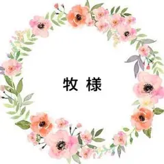 牧様 リクエスト 3点 まとめ商品
