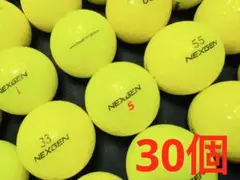 ネクスジェン 各種混合　30個　　イエロー