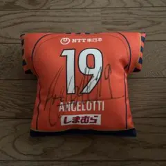 大宮アルディージャ　アンジェロッティ　直筆サイン入りクッション