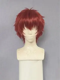 丸井ブン太 ウィッグ セット済み 丸井 ブン太(テニスの王子様) | コスプレ商品一覧 | コスプレ