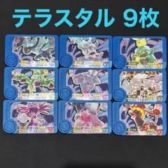 フレンダピック テラスタル9枚