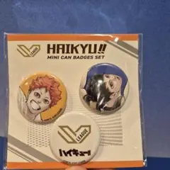 ハイキュー　SV　リーグチャンピオンシップ　 ミニ缶バッジセット