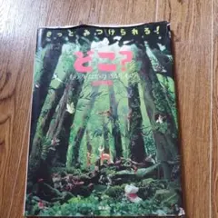 どこ? もりのなかの さがしもの