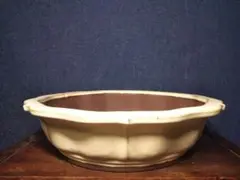 盆栽鉢 松泉山秋 未使用品 早い者勝ち