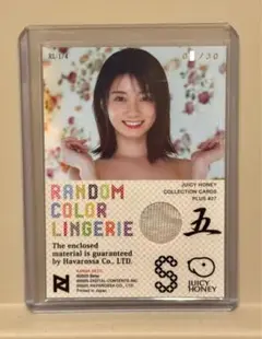 Item thumbnail for item e981556d-28c6-4da4-95ed-7cba1cdd02b6