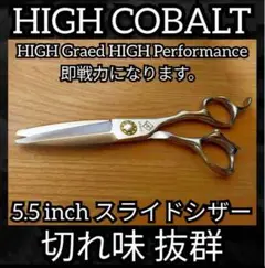 Item thumbnail for item 5fa602da-77bf-438b-89a7-de1425af3ab2