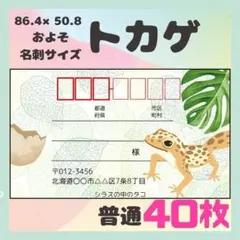 【トカゲ】宛名シール　差出人シール　普通サイズ　40枚　シンプル　動物　爬虫類