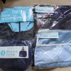 Item thumbnail for item 8c63d74f-60b0-4ae3-9d3c-c30d65271975