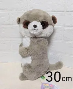 こっちむいて　ミーアちゃん　ぬいぐるみ　30cm