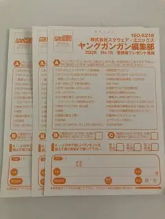 ヤングガンガン　白濱美兎　応募葉書3枚　応募券