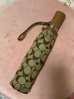 Item thumbnail for item d51883d2-ad98-44e9-910e-62e4b0d7a333