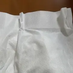 ホワイト ポリエステル レースカーテン　100㎝✖️170㎝