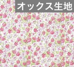 リバティ アシュテッド オックス生地 108cm×50cm