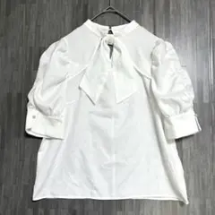 Item thumbnail for item 1870f2f2-ddc2-452b-92ce-59f04bcf49f8