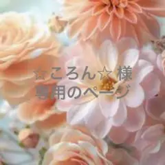 ☆ころん☆ 様　専用のページです☆