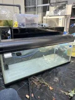 1200 水槽　上部濾過　濾過そう　アクリル水槽 コトブキ工芸 送料無料 コトブキ スーパーターボ Z＋1200
