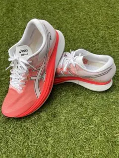 Item thumbnail for item 9f110808-cd99-4fef-8015-0497255d791e