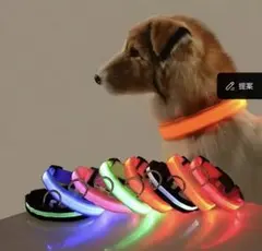 新品未使用　犬用　XL LED 首輪　オレンジ