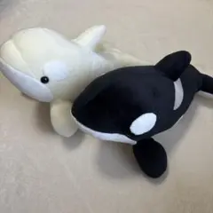 名古屋港水族館 ぬいぐるみ　くじ　シャチ　白黒　2点セット