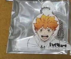 【匿名配送】ハイキュー　ミニハンガーチャームコレクション　日向翔陽